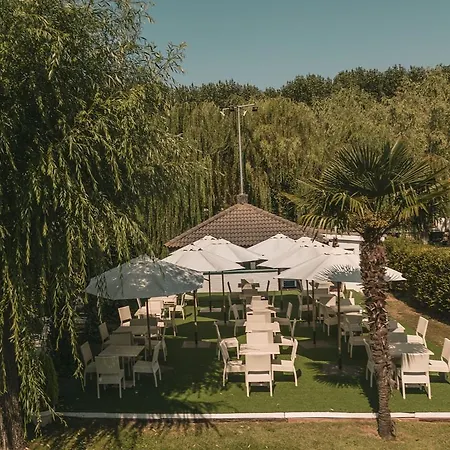 Conde Rodrigo Ii By Eme