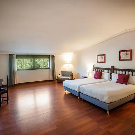 Conde Rodrigo Ii By Eme