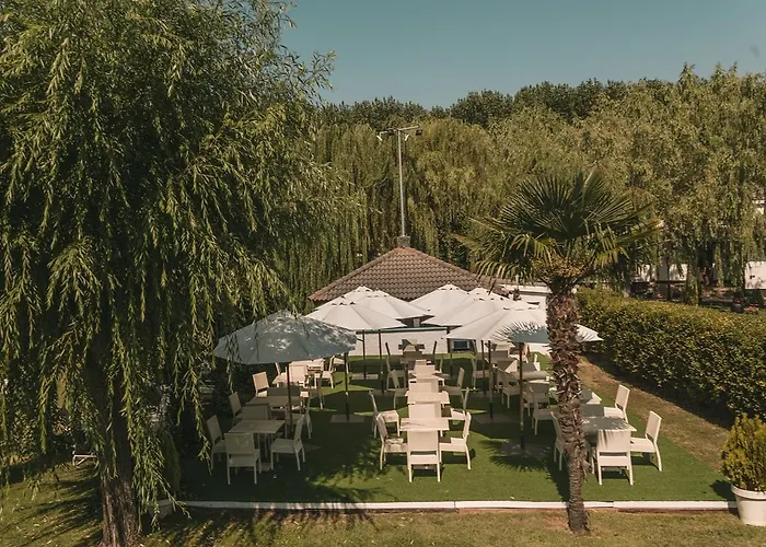 Conde Rodrigo Ii By Eme