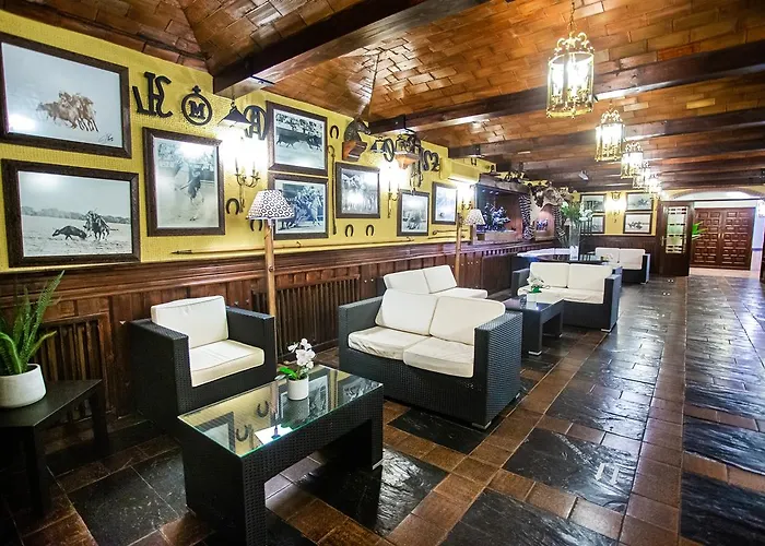 Conde Rodrigo Ii By Eme Ciudad-Rodrigo