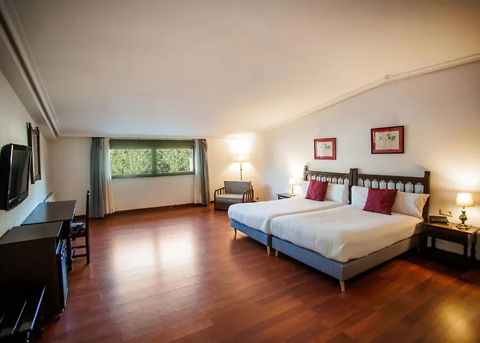 Conde Rodrigo Ii By Eme