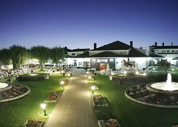 Conde Rodrigo Ii By Eme Ciudad-Rodrigo