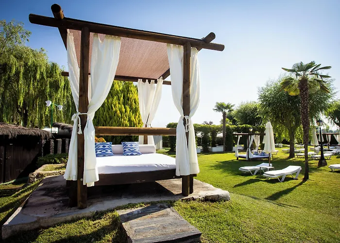 Conde Rodrigo Ii By Eme 4*