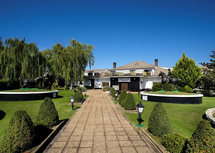 Conde Rodrigo Ii By Eme