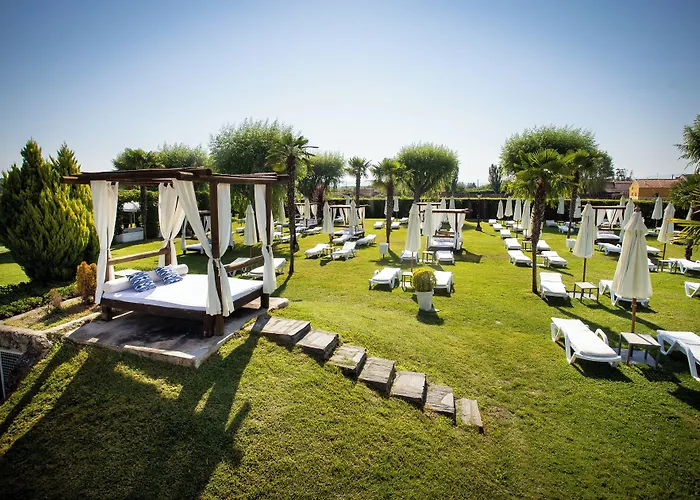 Conde Rodrigo Ii By Eme